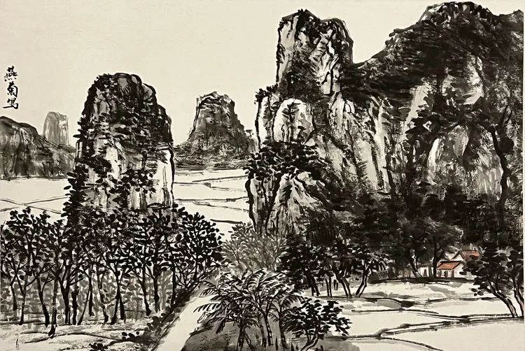 Large Image