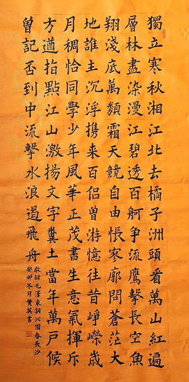Large Image