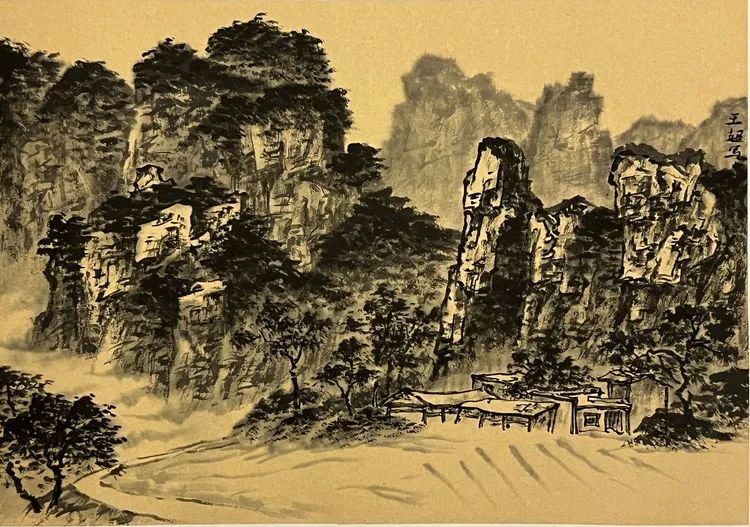 Large Image