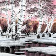 Small Image