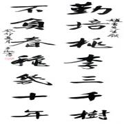 Small Image