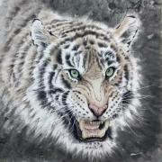 Small Image